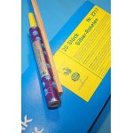 Moog Silberrakete Made in Germany