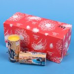 Comet Silvesterschuss Tischfeuerwerk